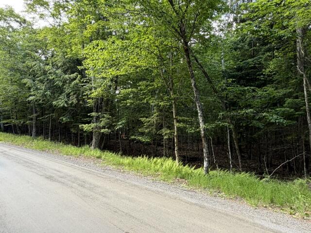 10 Black Point Road Beaver Cove, ME 04441 - Photo 5 of 16 IMG_0817