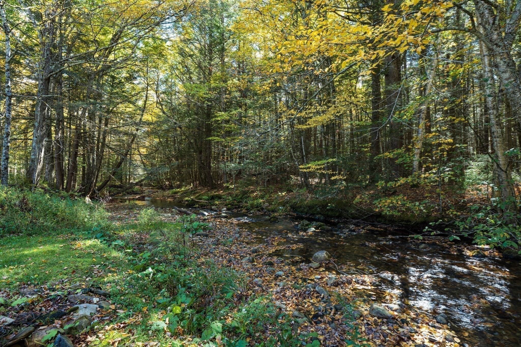 441 Dingle Road Worthington, MA 01098 - Photo 7 of 40 Gallery Image 7