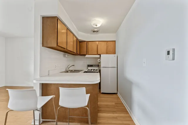 $85,000 | 4623 North Chester Avenue, Unit 206, Chicago, IL 60656