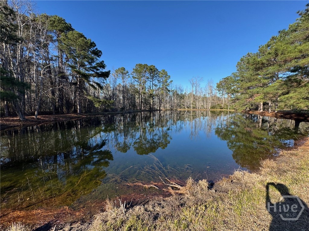5033 McCall Road Rincon, GA 31326 - Photo 4 of 6 Gallery Image 4