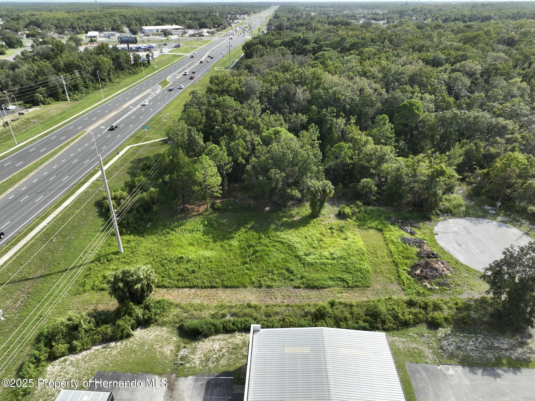 290 Suzanne Drive Spring Hill, FL 34607 - Photo 11 of 15