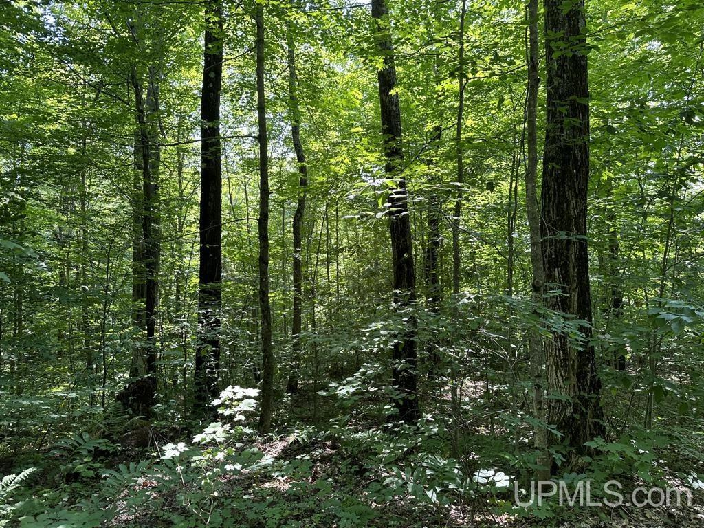 0 Cemetery Road Munising, MI 49862 - Photo 22 of 34 Gallery Image 22