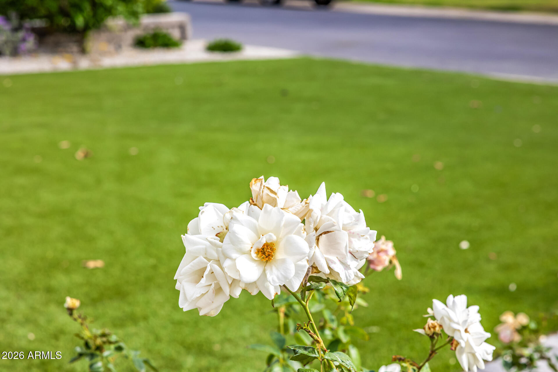4010 East Coolidge Street Phoenix, AZ 85018 - Photo 76 of 82 77-COOLIDGE