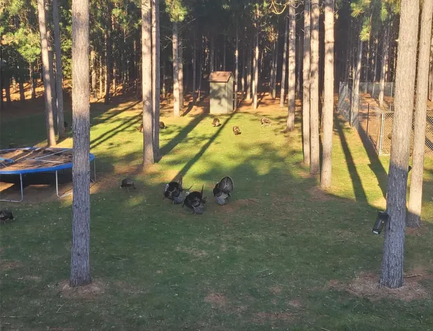 $749,000 | W3041 2nd Street East, Nekoosa, WI 54457