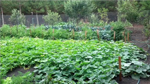 $749,000 | W3041 2nd Street East, Nekoosa, WI 54457