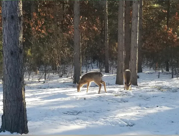 $749,000 | W3041 2nd Street East, Nekoosa, WI 54457