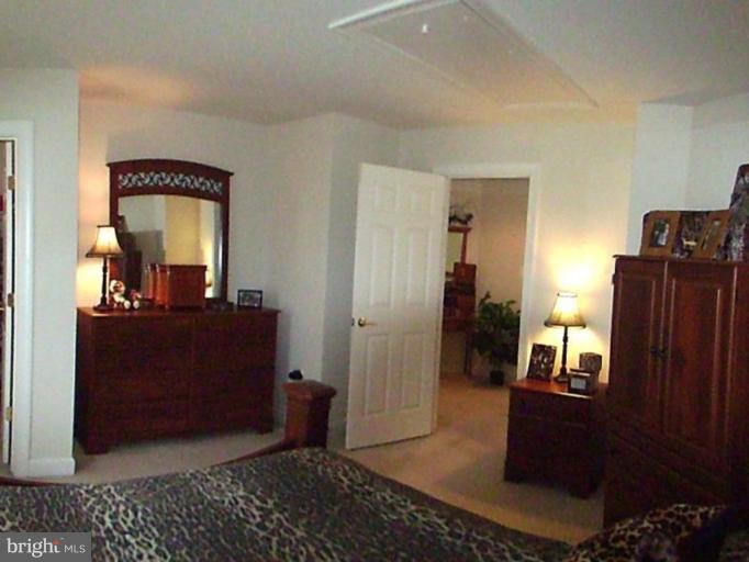 20540 Wilderness Run Road Boonsboro, MD 21713 - Photo 22 of 30 Bedroom has a nice large walk-in closet.