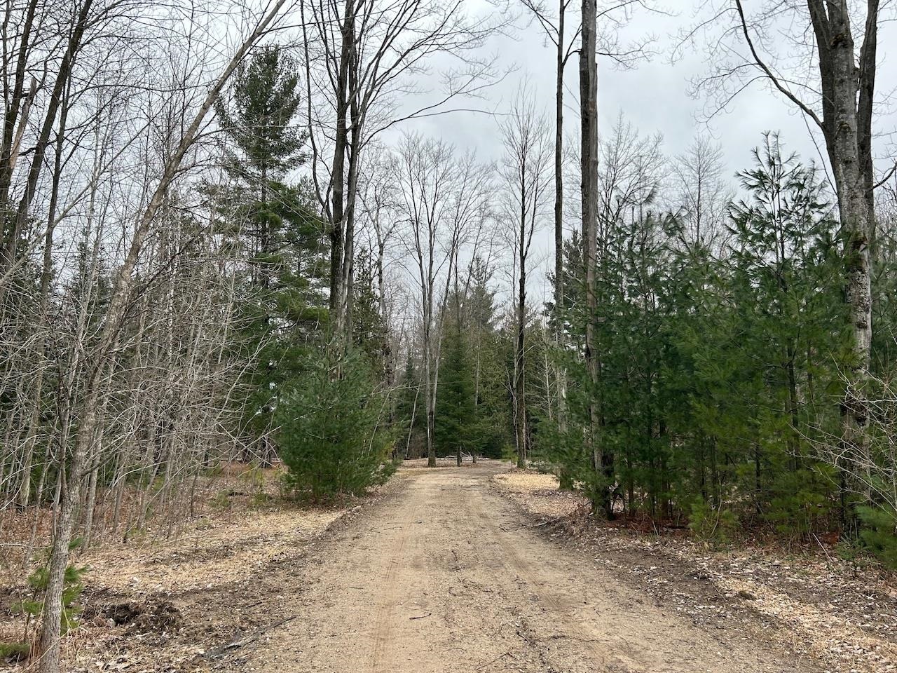 19.2 Acres W M61 Road Gladwin, MI 48624 - Photo 2 of 17