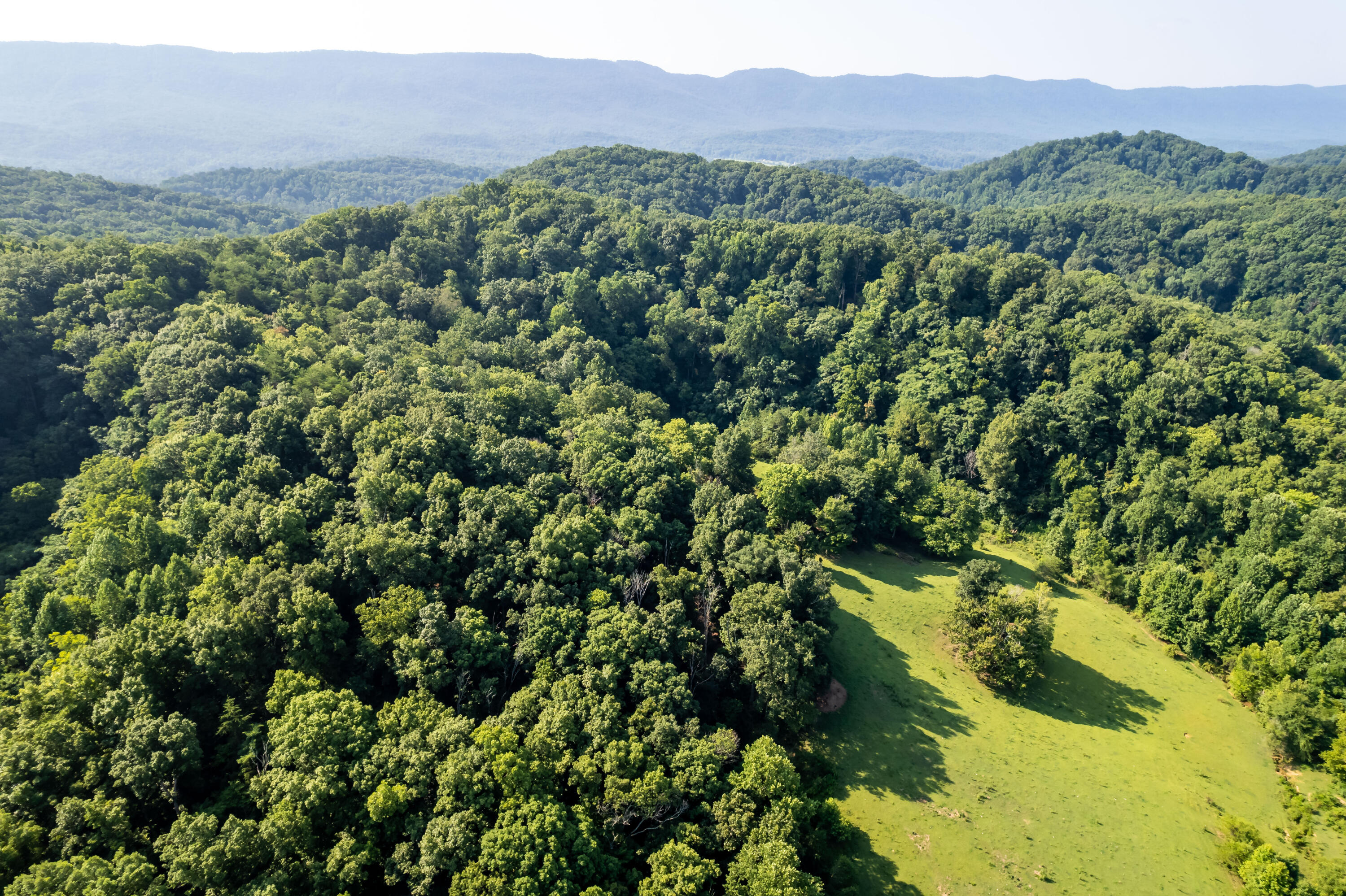 Lot4 Blockhouse Road Maryville, TN 37803 - Photo 7 of 21 blockhouse rd-20