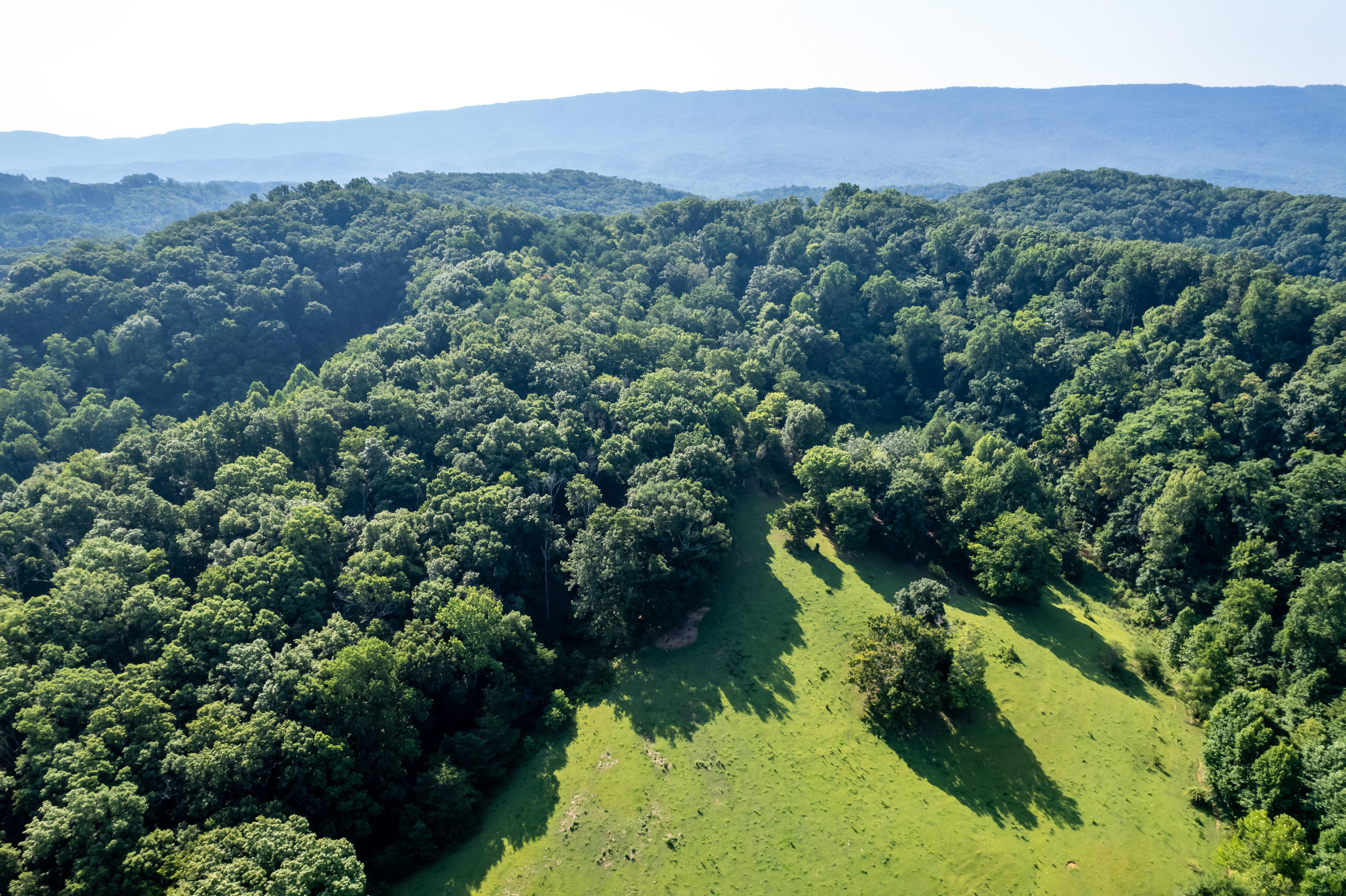 Lot4 Blockhouse Road Maryville, TN 37803 - Photo 8 of 21 blockhouse rd-26
