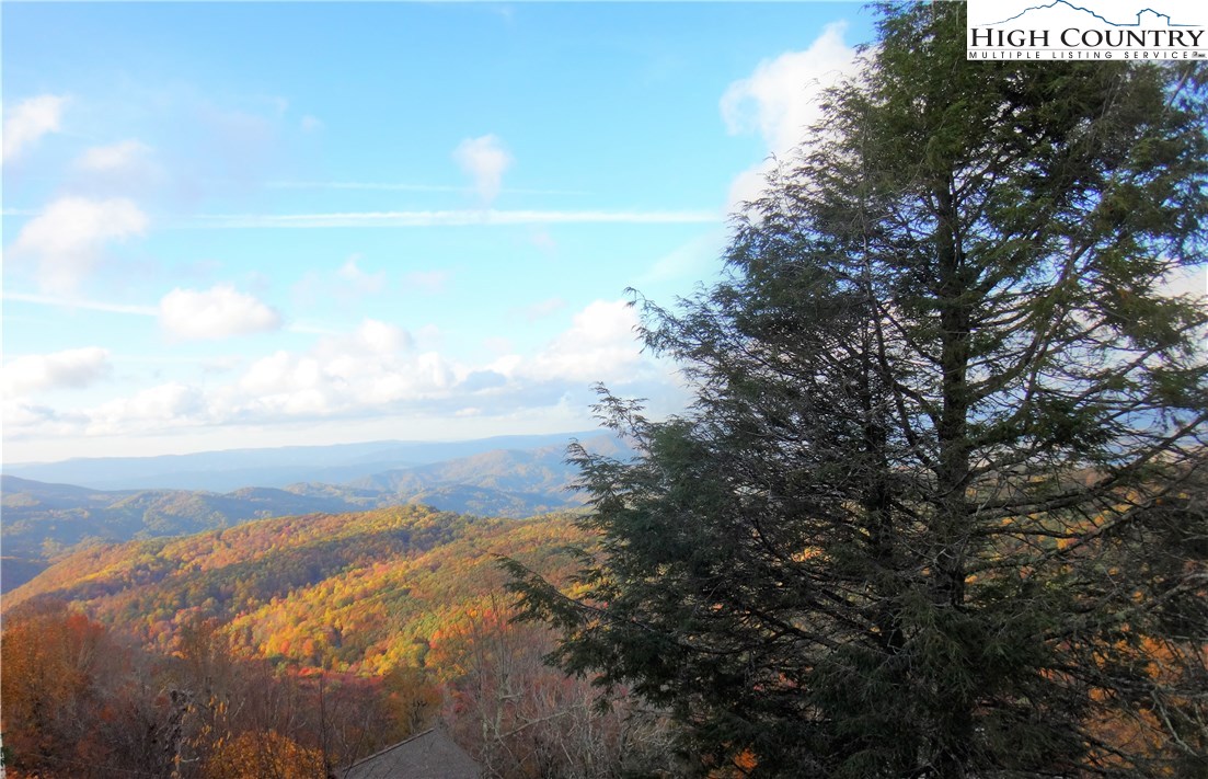204 Pinnacle Ridge Road Beech Mountain, NC 28604 - Photo 49 of 50