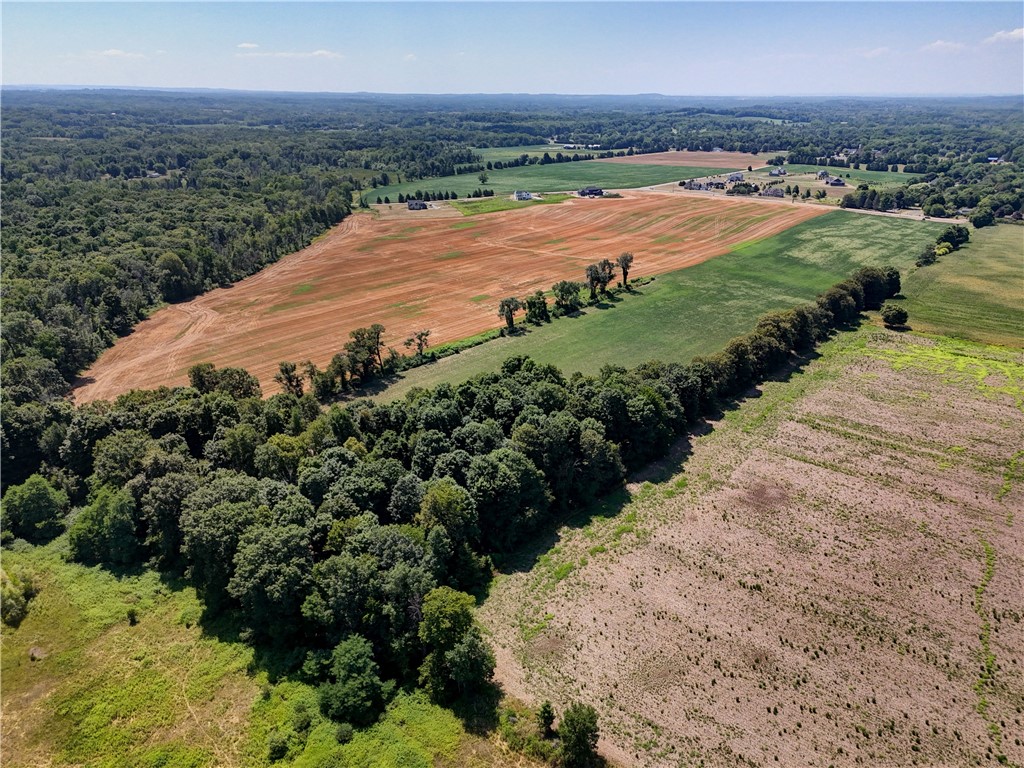 Mile Square Road Mendon, NY 14506 - Photo 4 of 5