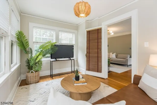 a living room with furniture and a potted plant
