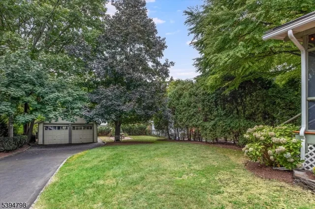a view of a garden with a bench