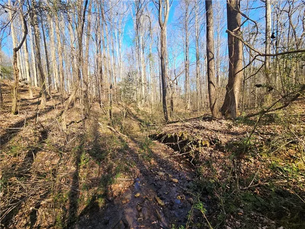 $500,000 | 3 West Oak Highway, Townville, SC 29689