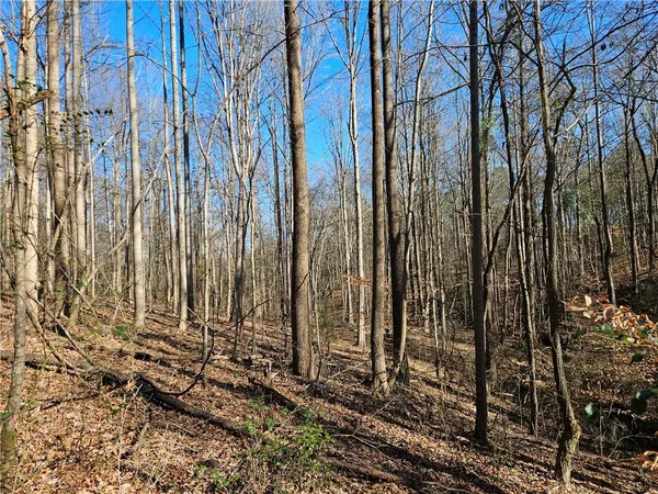 $500,000 | 3 West Oak Highway, Townville, SC 29689