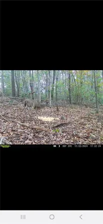 $500,000 | 3 West Oak Highway, Townville, SC 29689