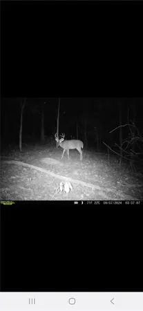 $500,000 | 3 West Oak Highway, Townville, SC 29689