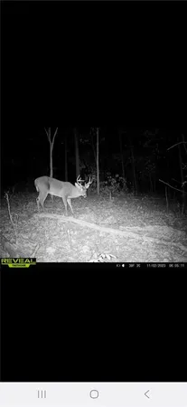 $500,000 | 3 West Oak Highway, Townville, SC 29689