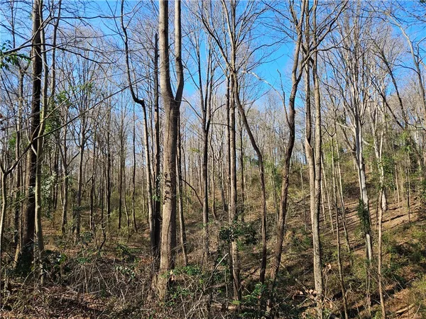 $500,000 | 3 West Oak Highway, Townville, SC 29689