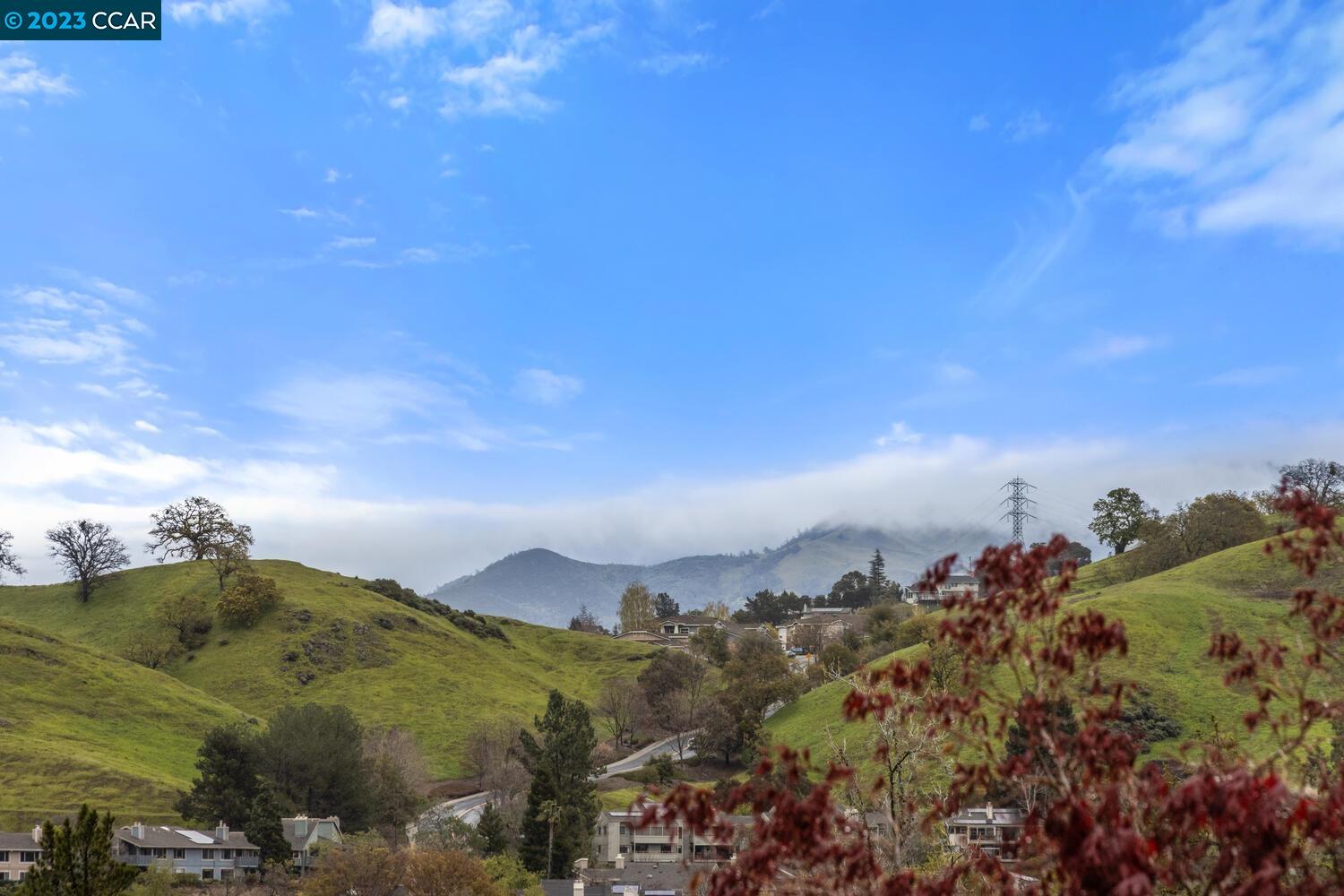 1333 Running Springs Road, Unit 2 Walnut Creek, CA 94595 - Photo 1 of 1 Gallery Image 1