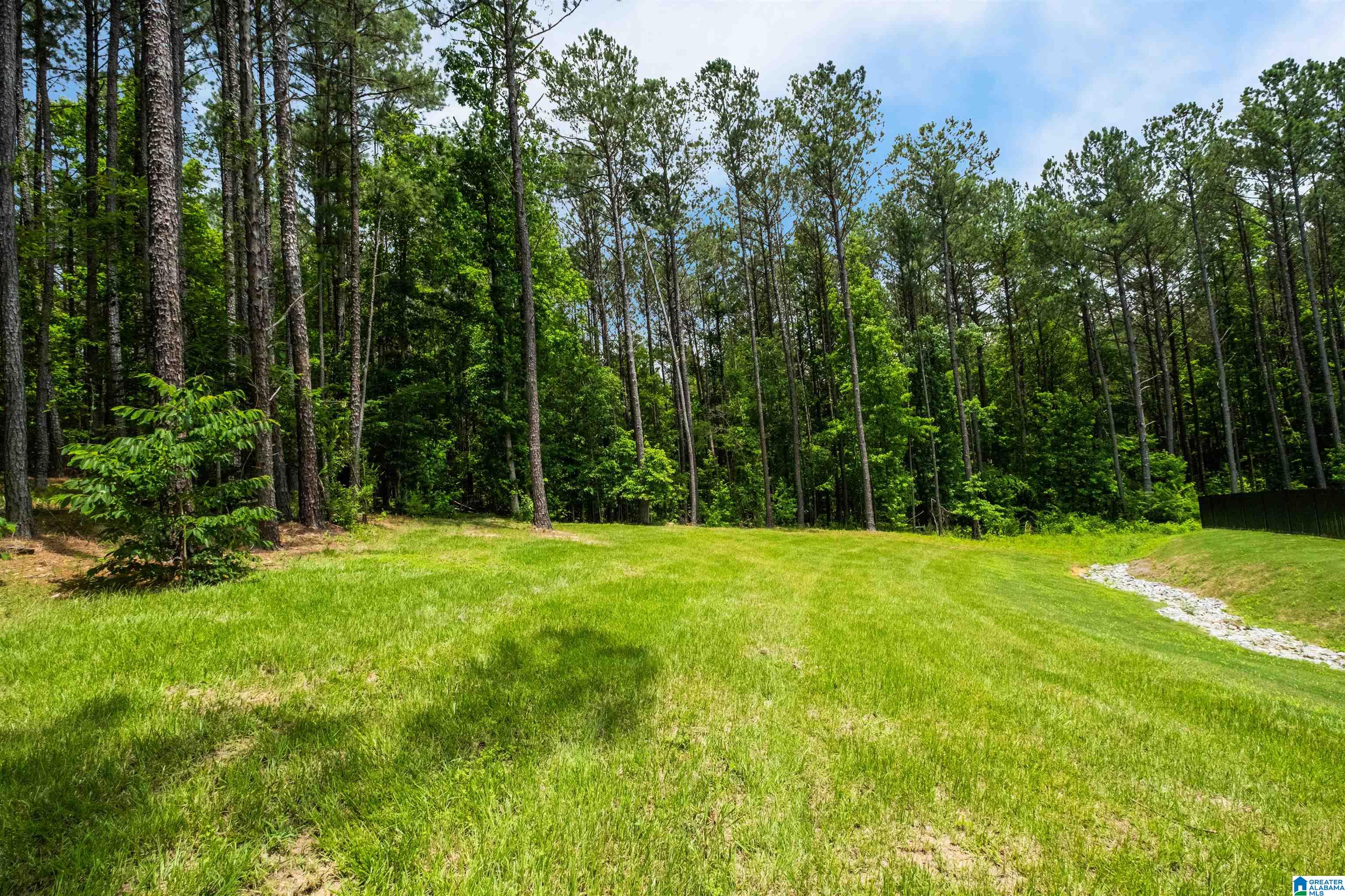5218 Sicard Hollow Road Birmingham, AL 35242 - Photo 58 of 71