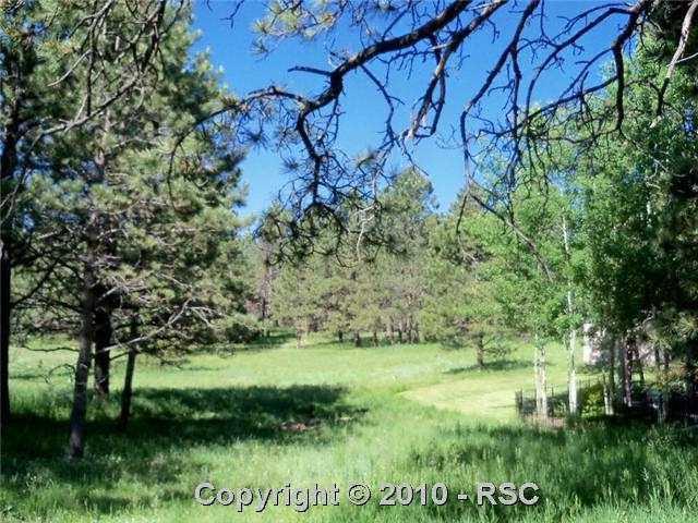 15520 Winding Trail Road Colorado Springs, CO 80908 - Photo 12 of 13 Gallery Image 12