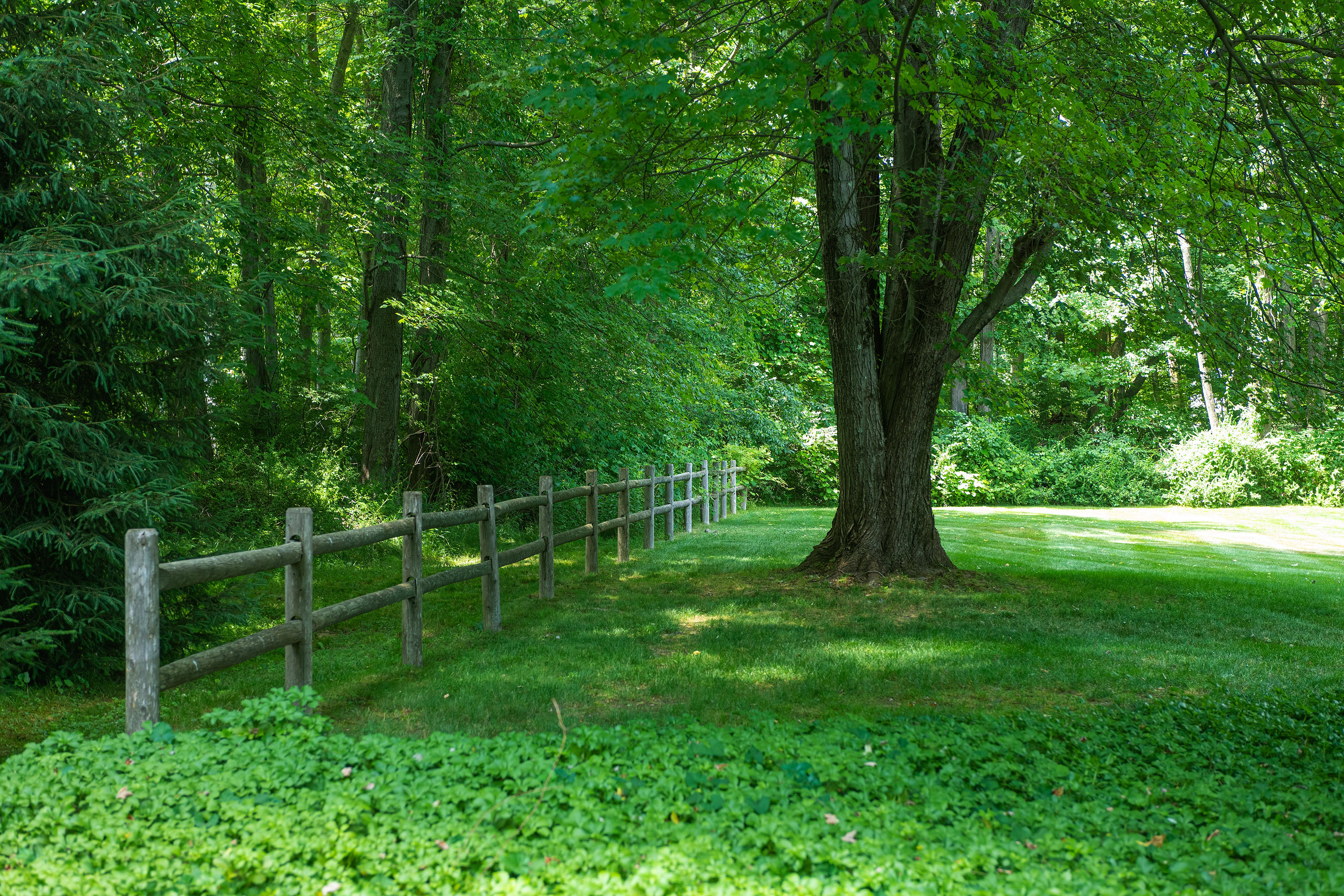 1381 Smith Ridge Road New Canaan, CT 06840 - Photo 29 of 35 a view of a park