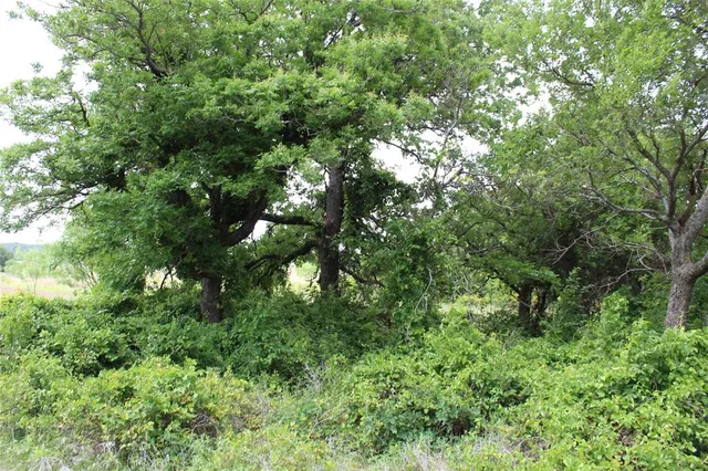 $178,910 | 1 County Road 109, Mingus, TX 76463