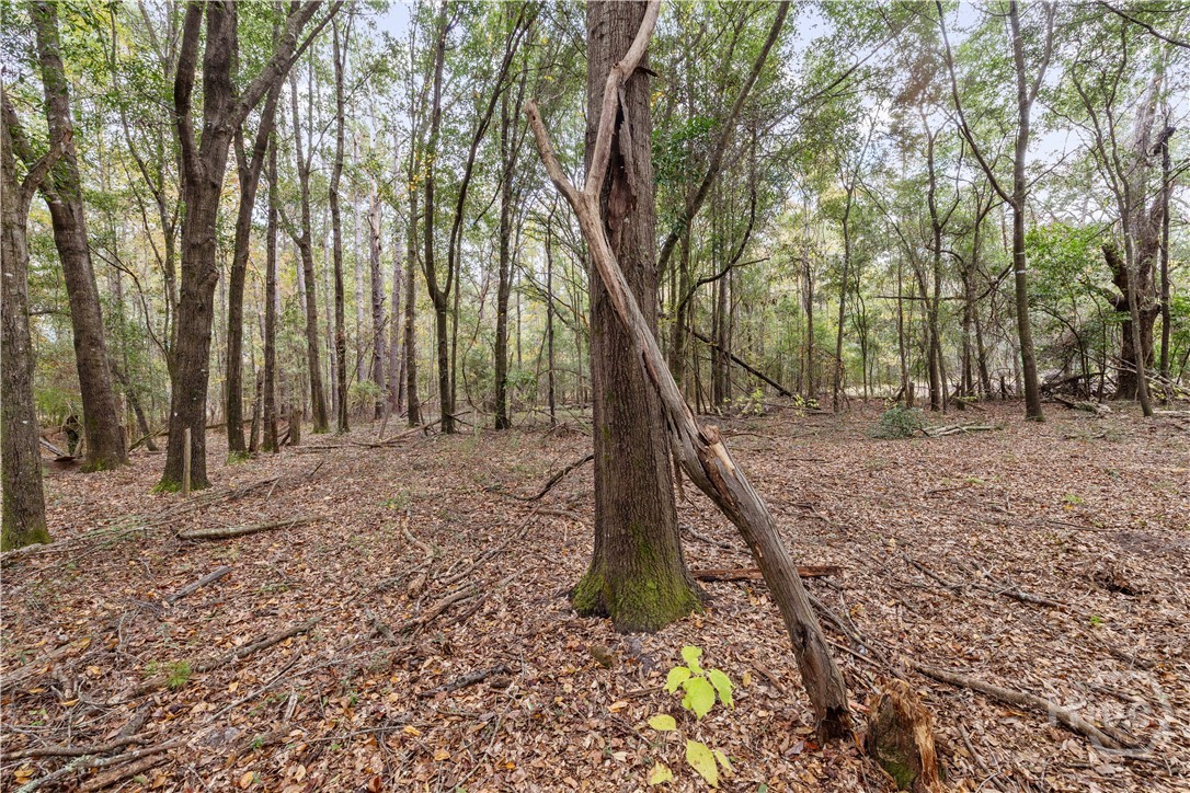 510 Sisters Ferry Road Clyo, GA 31303 - Photo 12 of 39