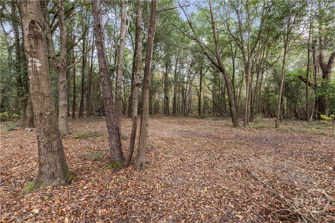 510 Sisters Ferry Road Clyo, GA 31303 - Photo 7 of 39