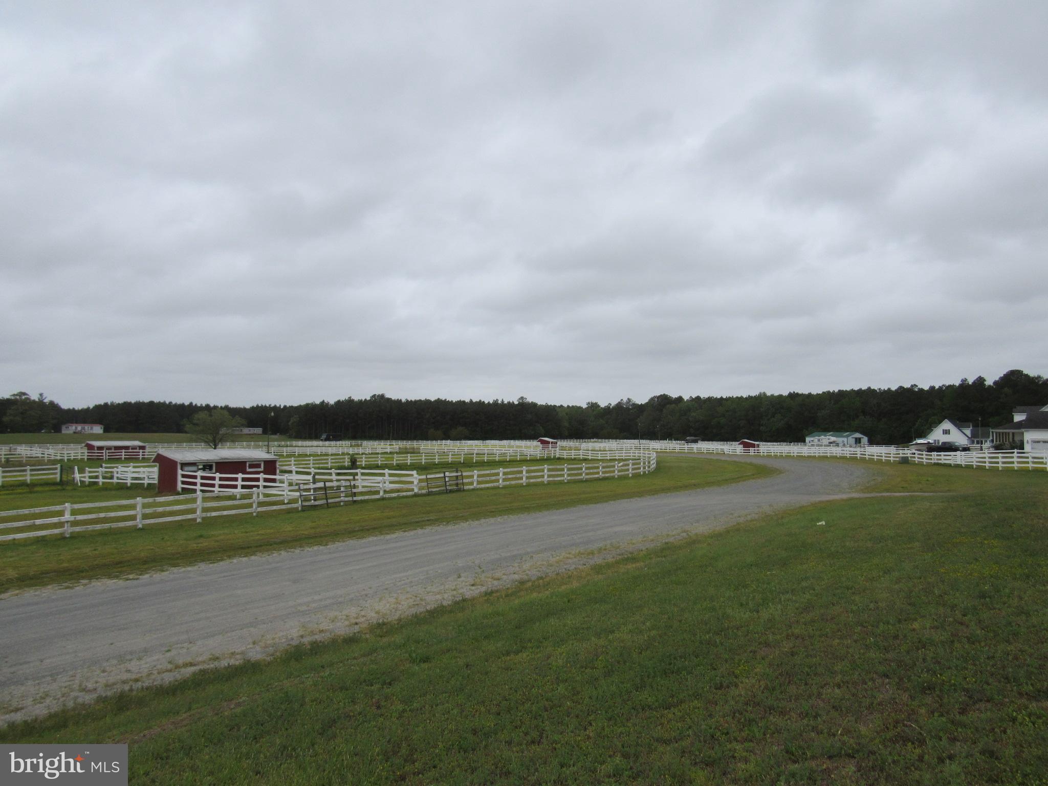 38168 State Line Ranch Road Delmar, DE 19940 - Photo 2 of 55