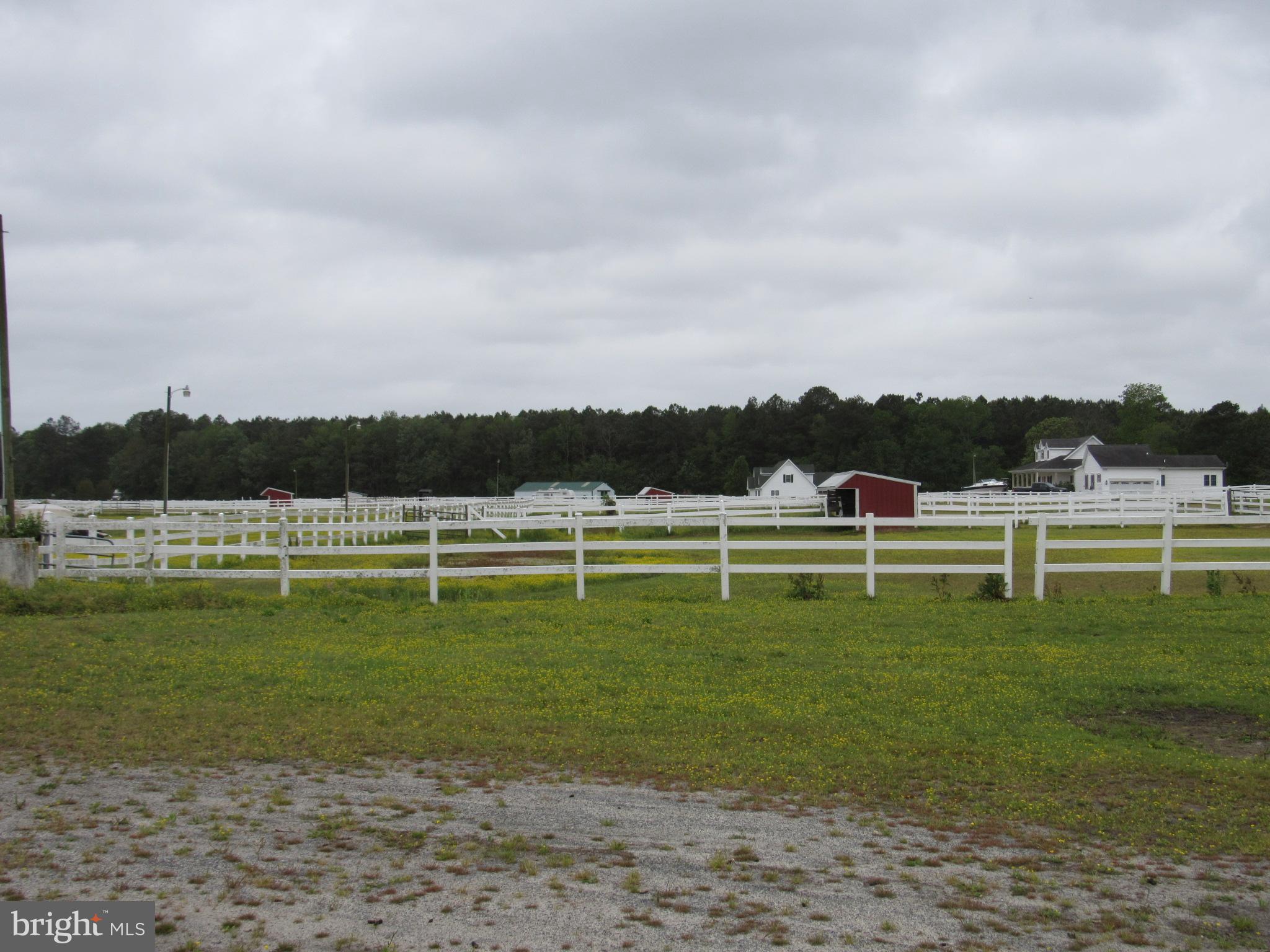 38168 State Line Ranch Road Delmar, DE 19940 - Photo 13 of 55