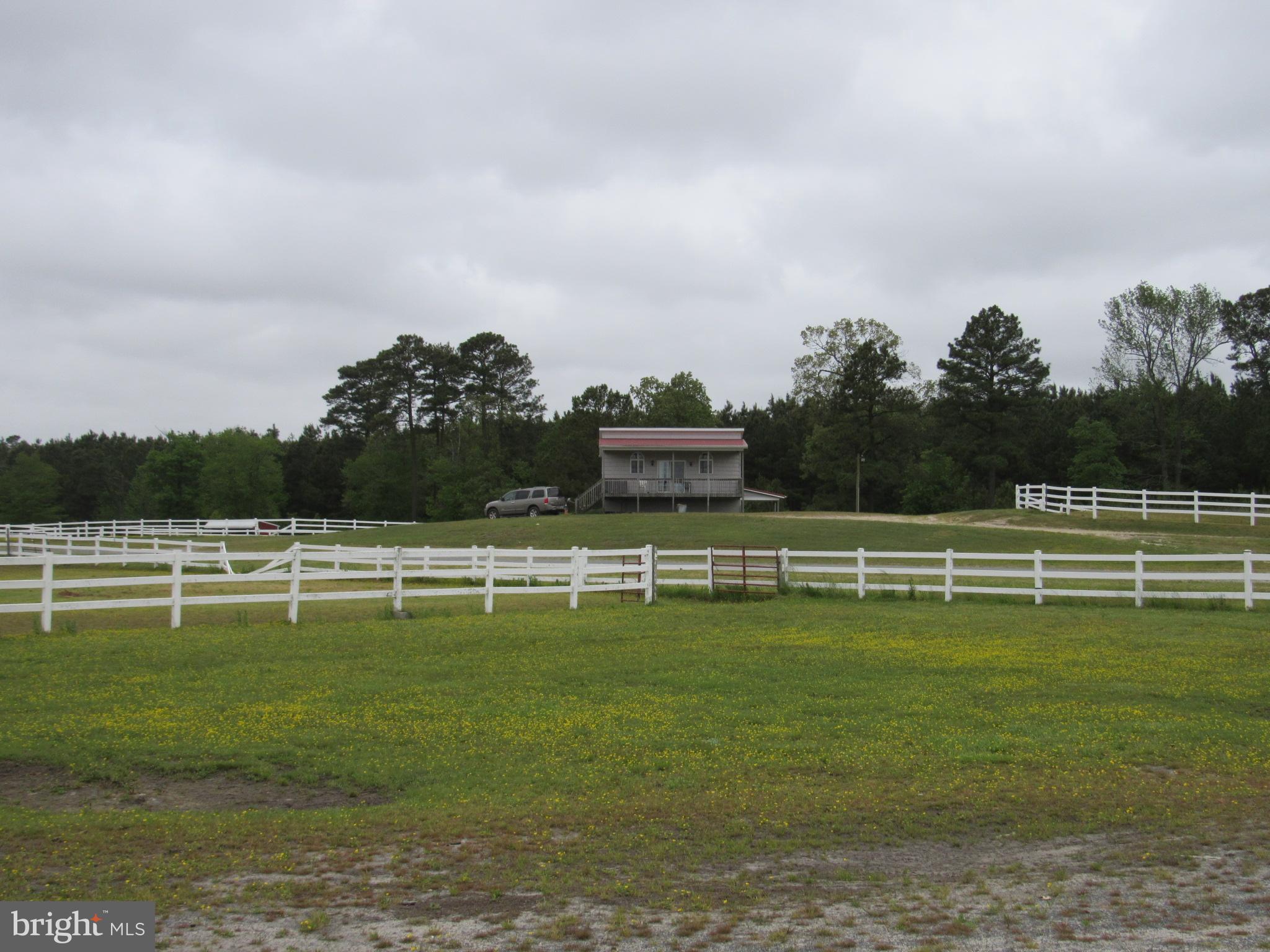 38168 State Line Ranch Road Delmar, DE 19940 - Photo 14 of 55