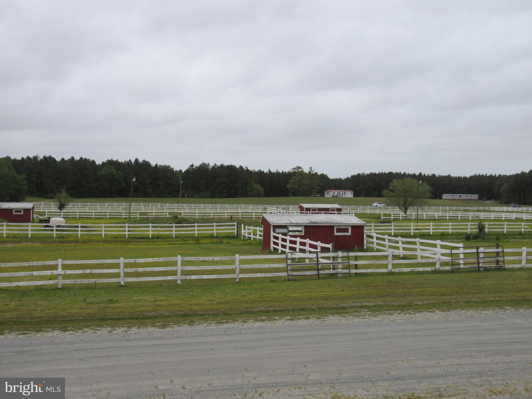 38168 State Line Ranch Road Delmar, DE 19940 - Photo 4 of 55