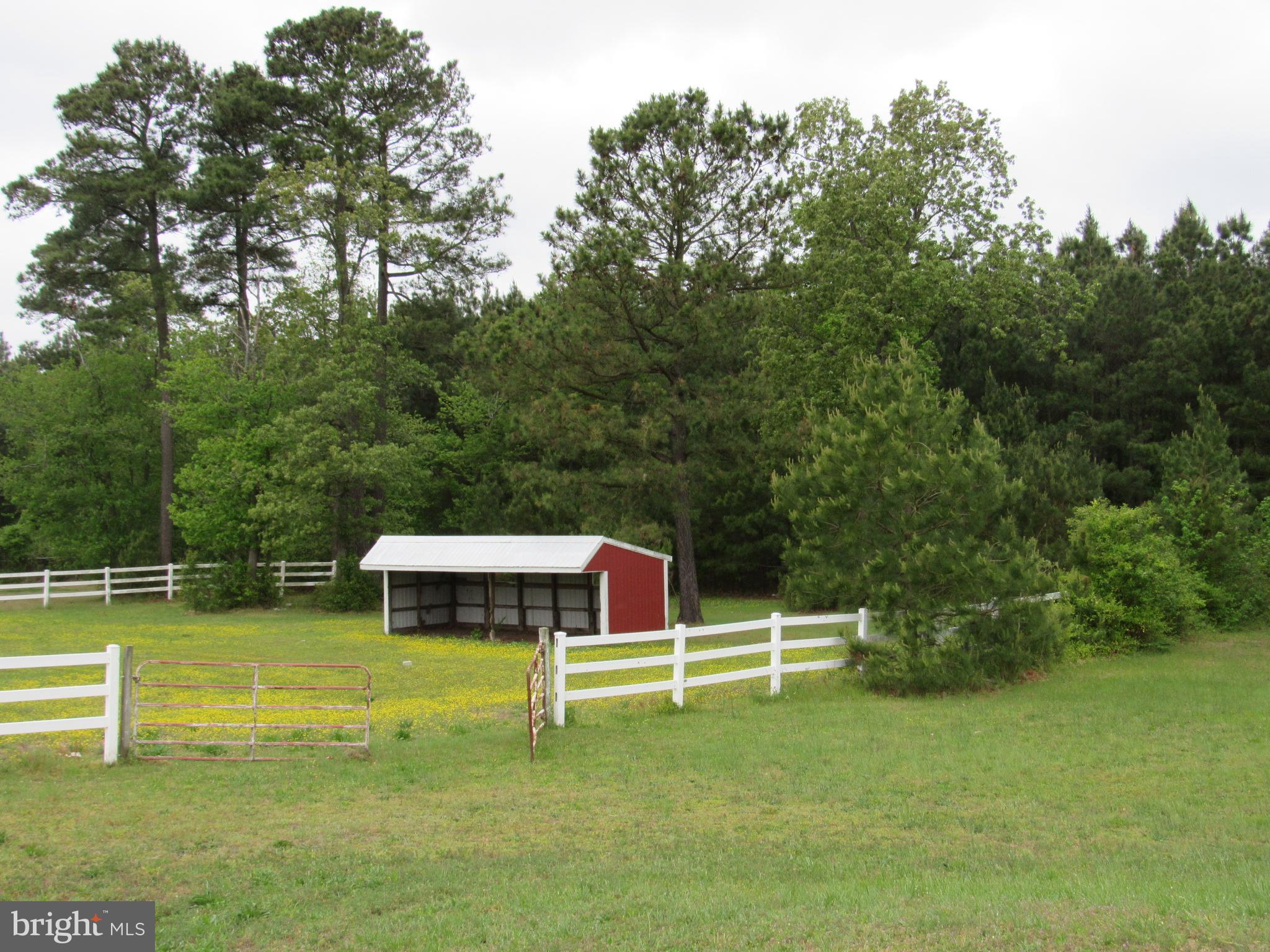 38168 State Line Ranch Road Delmar, DE 19940 - Photo 9 of 55