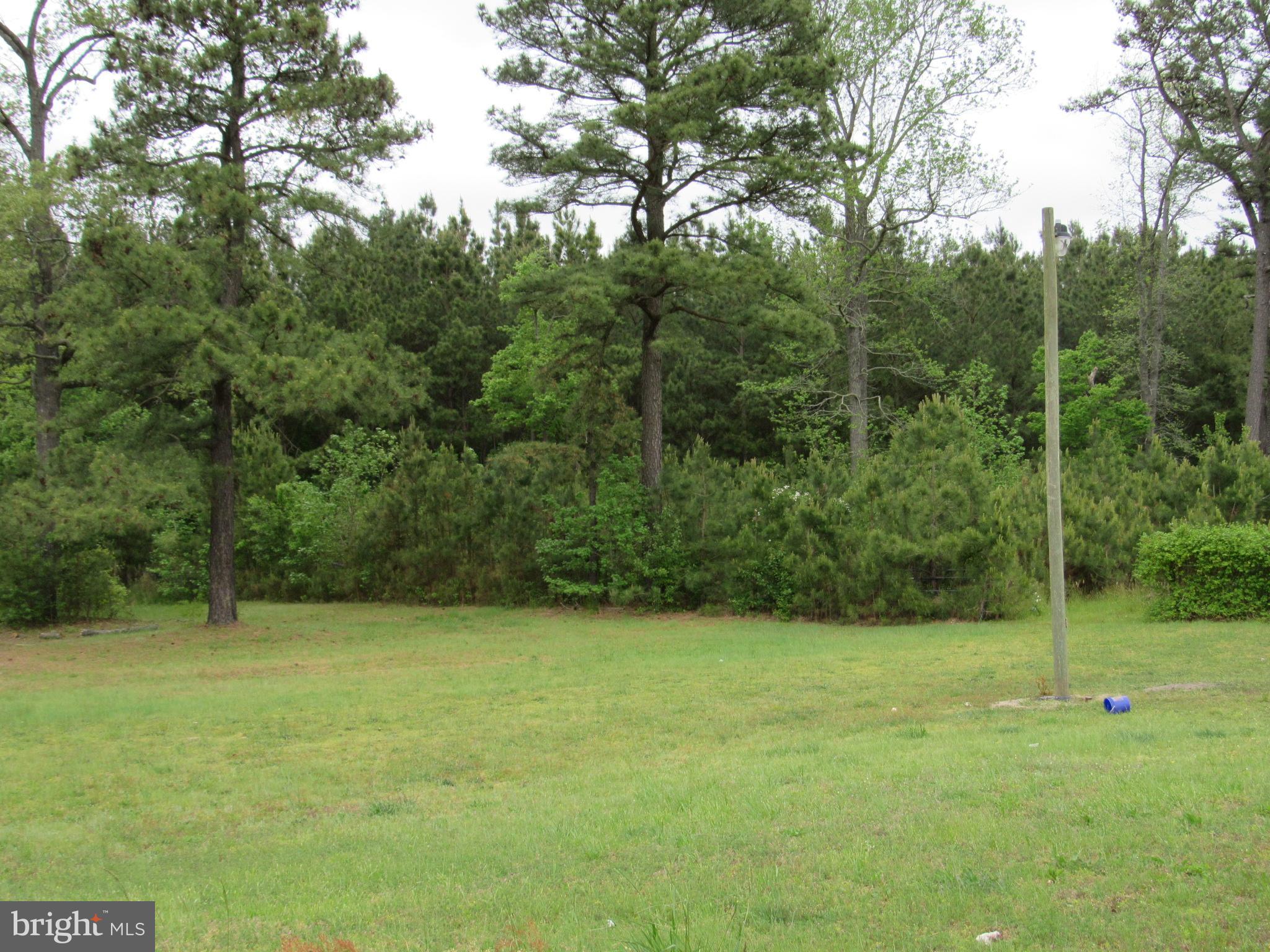 38168 State Line Ranch Road Delmar, DE 19940 - Photo 10 of 55