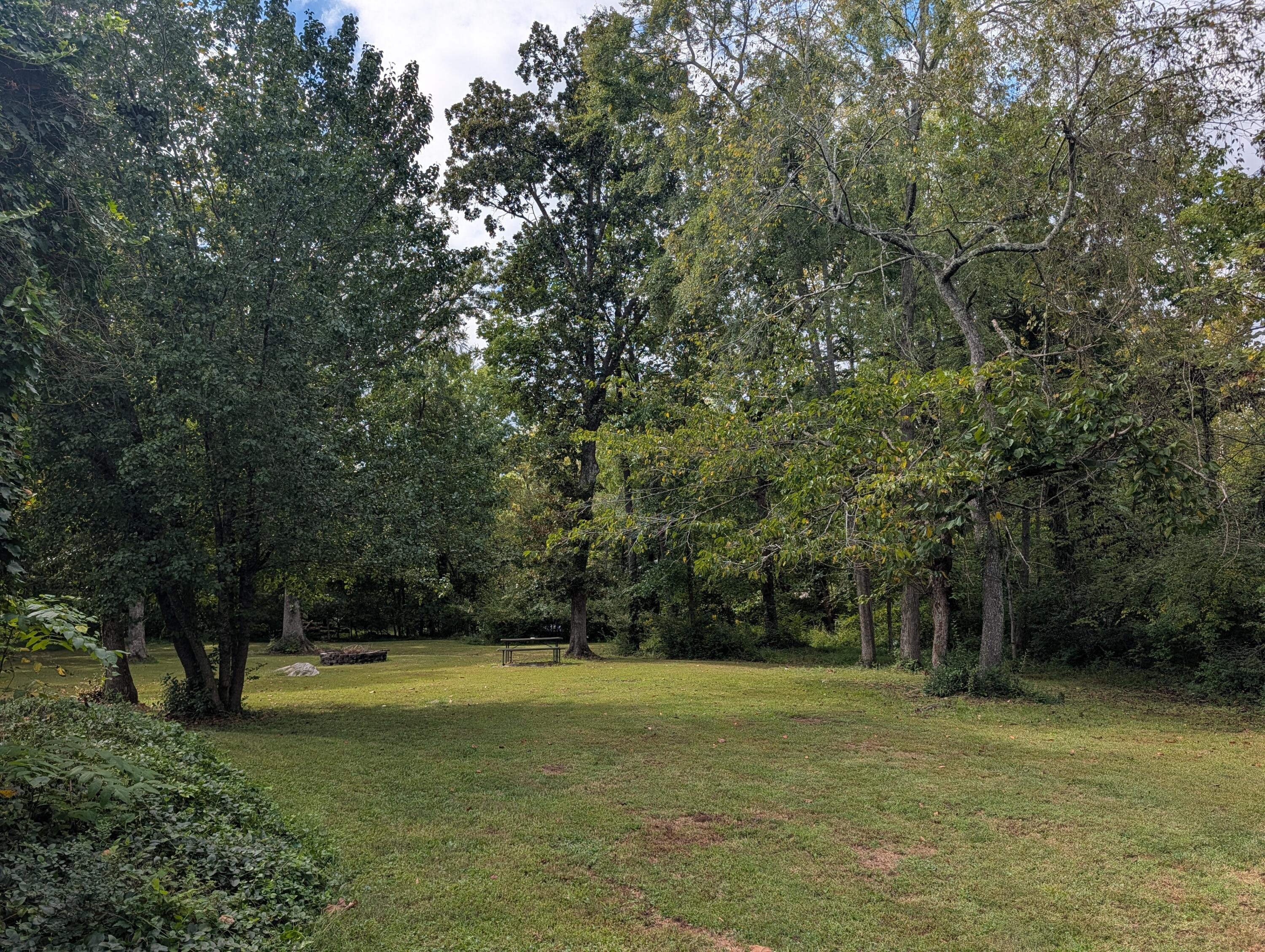 341 Vermont Avenue Oak Ridge, TN 37830 - Photo 5 of 79 PXL_20260924_190858676.RAW-01