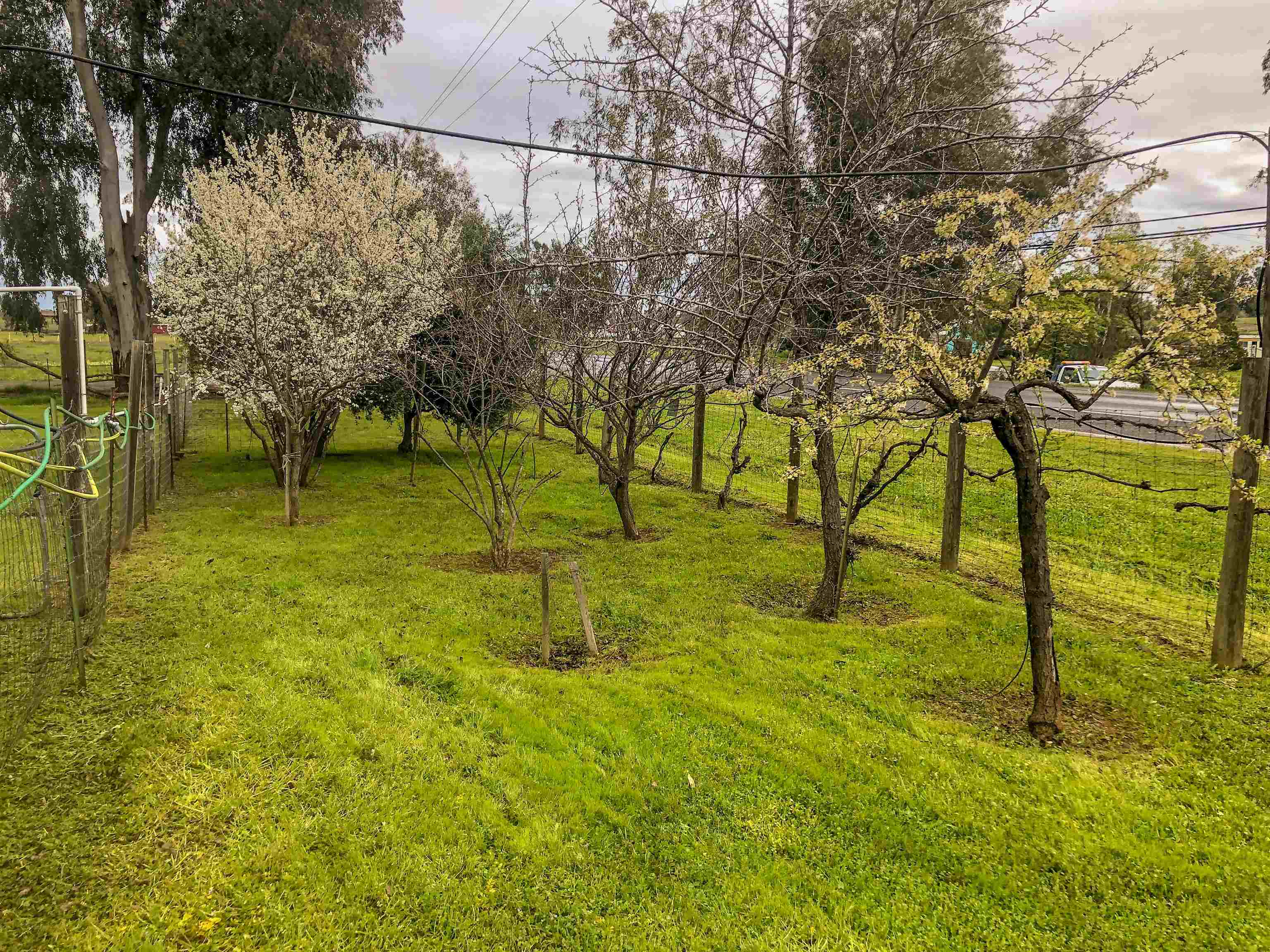 23848 Hoag Road Corning, CA 96021 - Photo 43 of 73