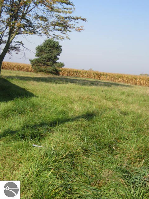 571 North Barry Road Ithaca, MI 48847 - Photo 6 of 10 1777537-5.JPG
