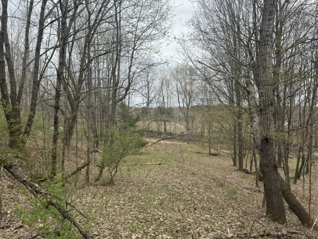 Lot 4 Shaver Hill Road Meridale, NY 13806 - Photo 4 of 44