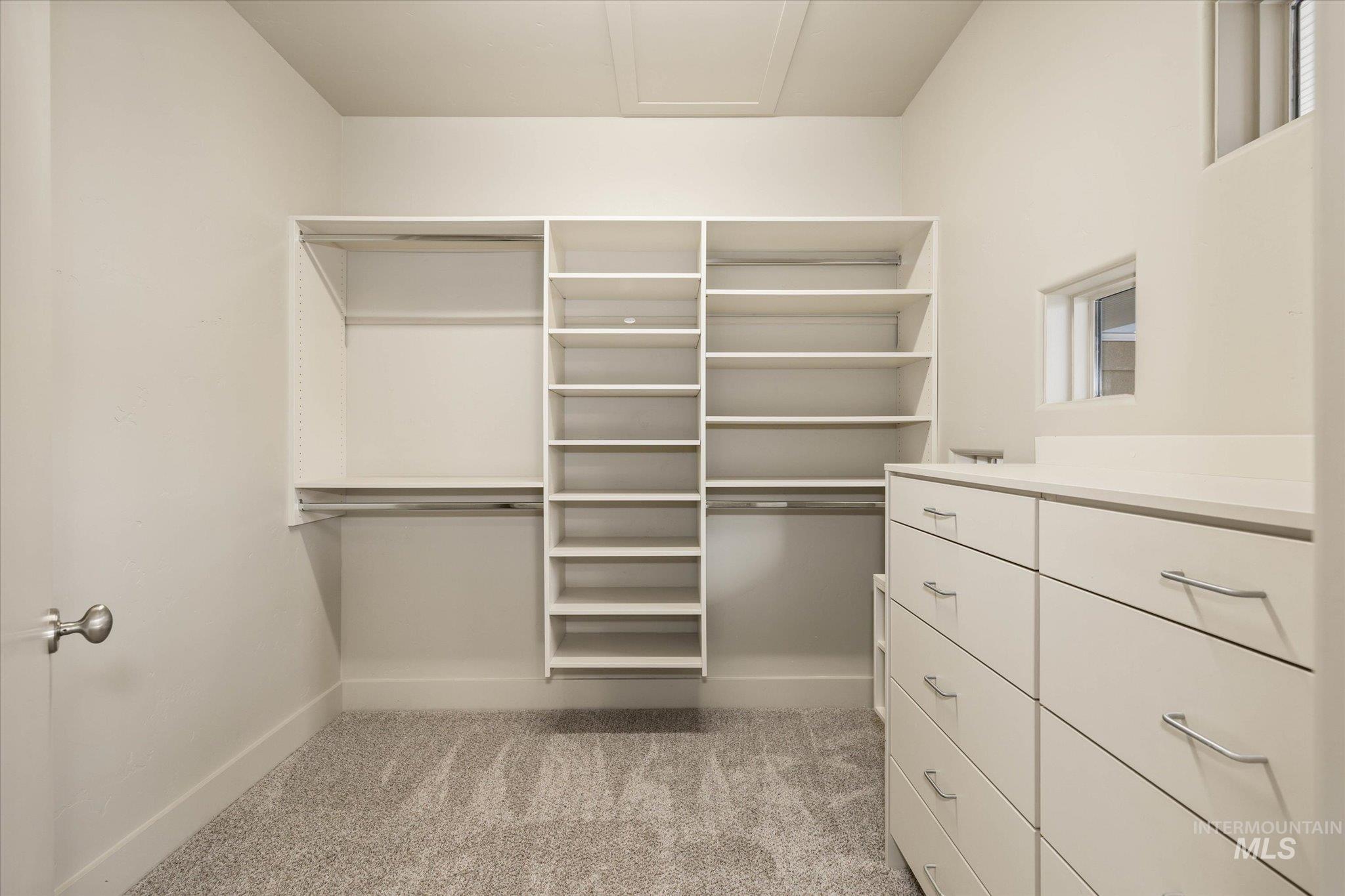 1400 North Razza Way Eagle, ID 83616 - Photo 30 of 50 Walk in closet featuring light colored carpet