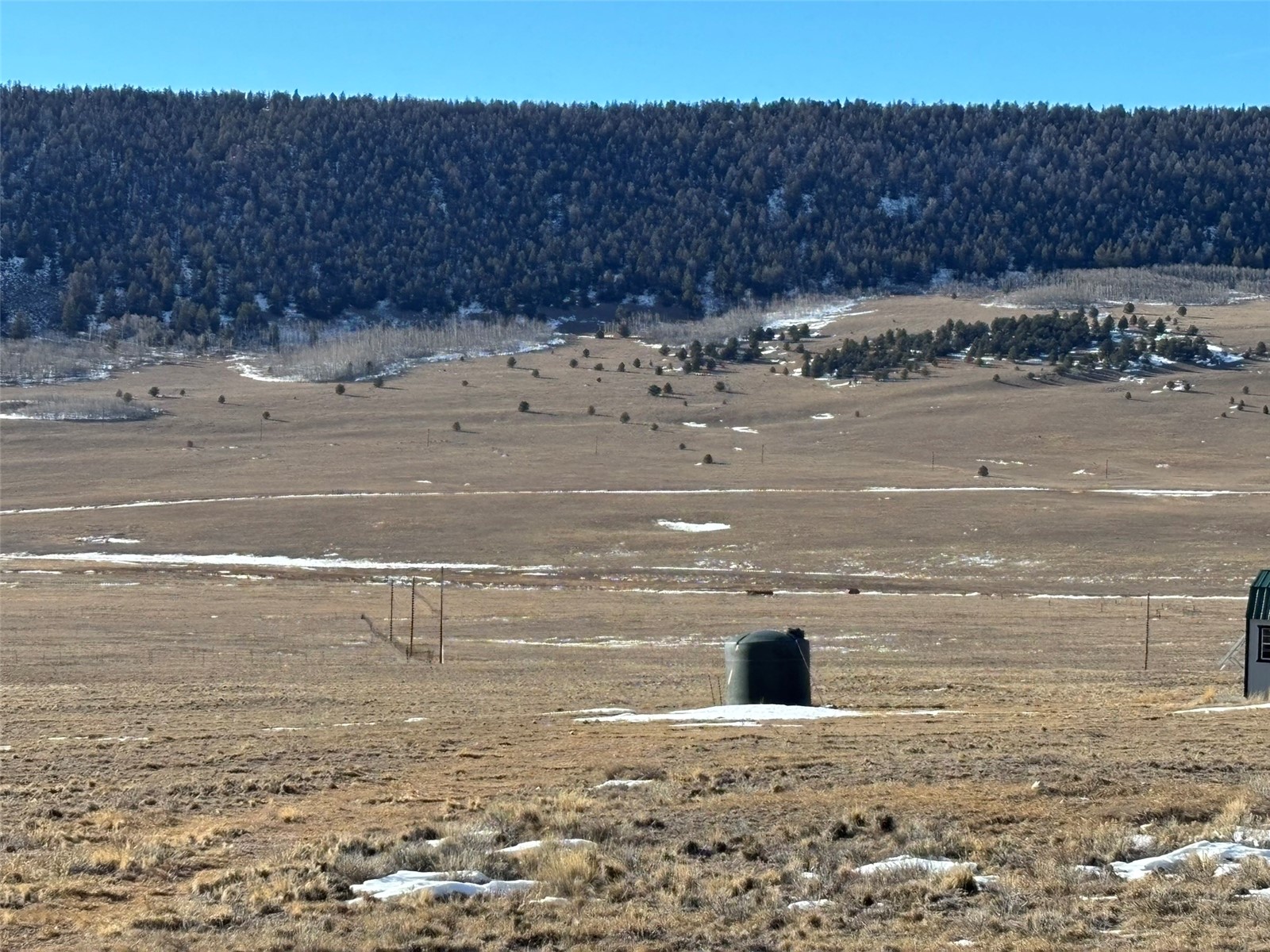 2716 Gap Road Fairplay, CO 80440 - Photo 12 of 17 a view of a yard