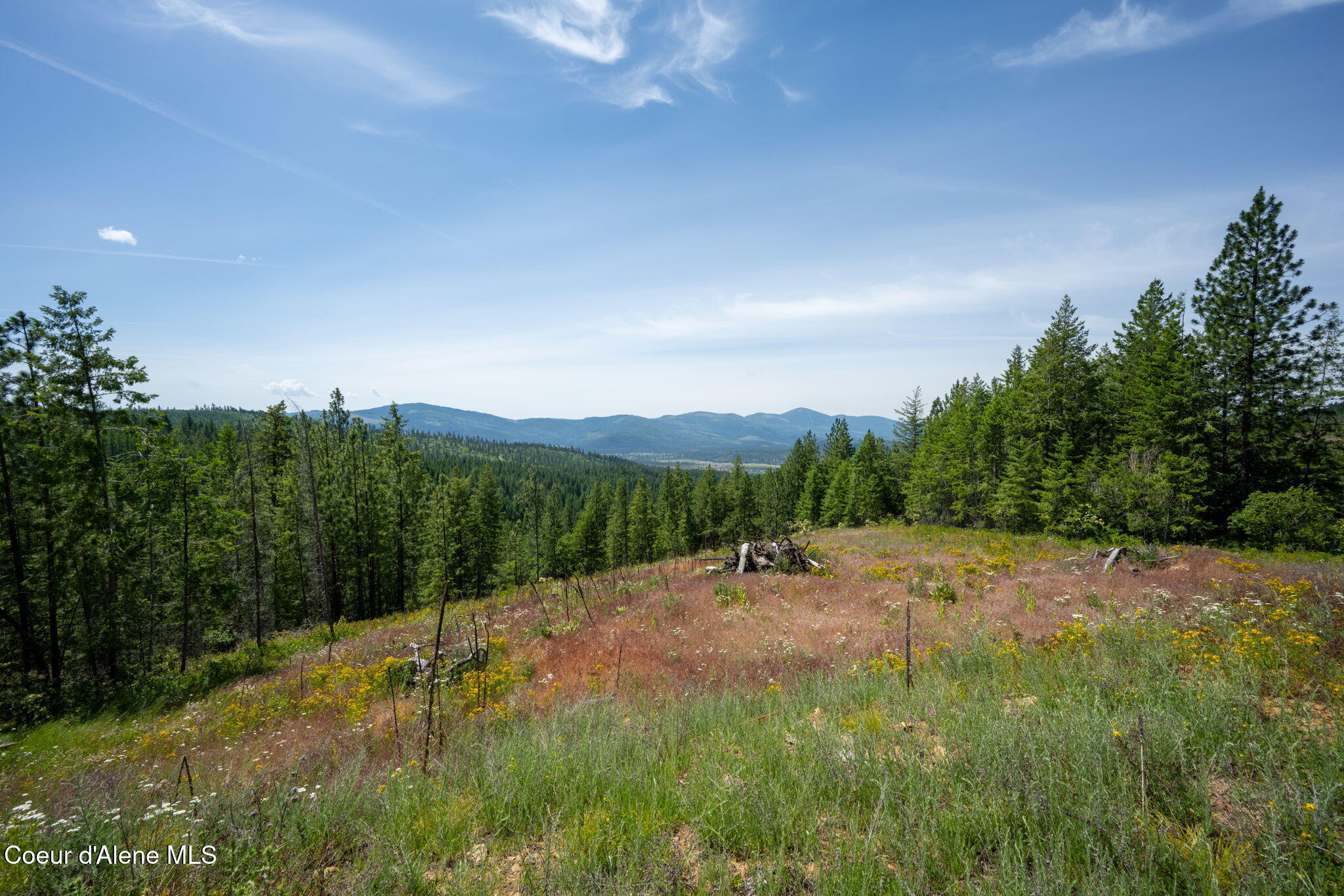 2089 Tower Mountain Road Blanchard, ID 83804 - Photo 25 of 35 32-web-or-mls-DSC_5605
