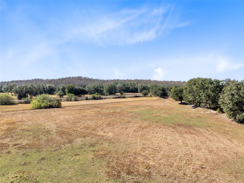 0 North Canoe Creek Road Kenansville, FL 34739 - Photo 4 of 8 a view of an outdoor space and a yard
