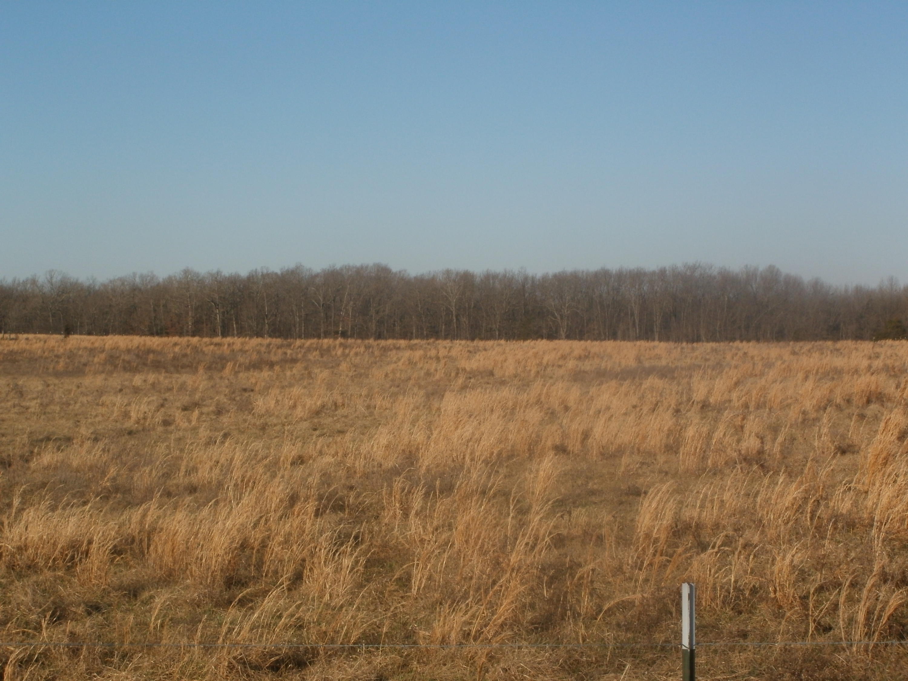 1825 Dark Valley Road Marshfield, MO 65706 - Photo 1 of 1 Dark Valley RD 002