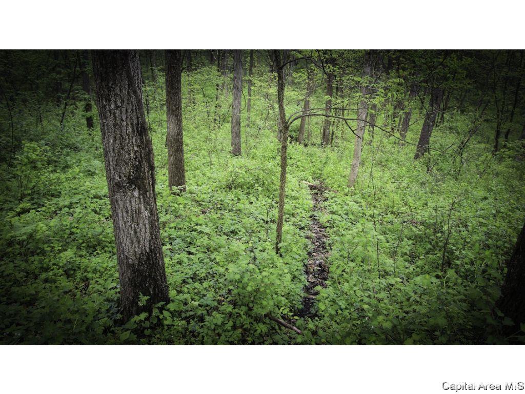 169-185 Knoxville Trail Rio, IL 61472 - Photo 27 of 36 Gallery Image 27