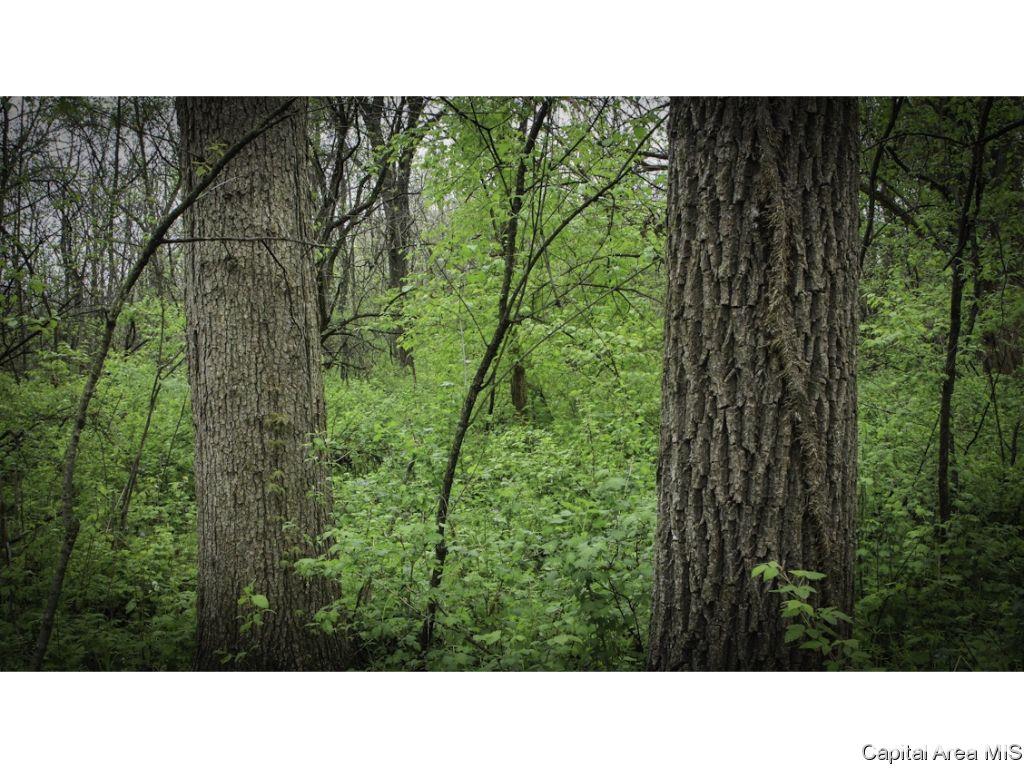 169-185 Knoxville Trail Rio, IL 61472 - Photo 36 of 36 Gallery Image 36