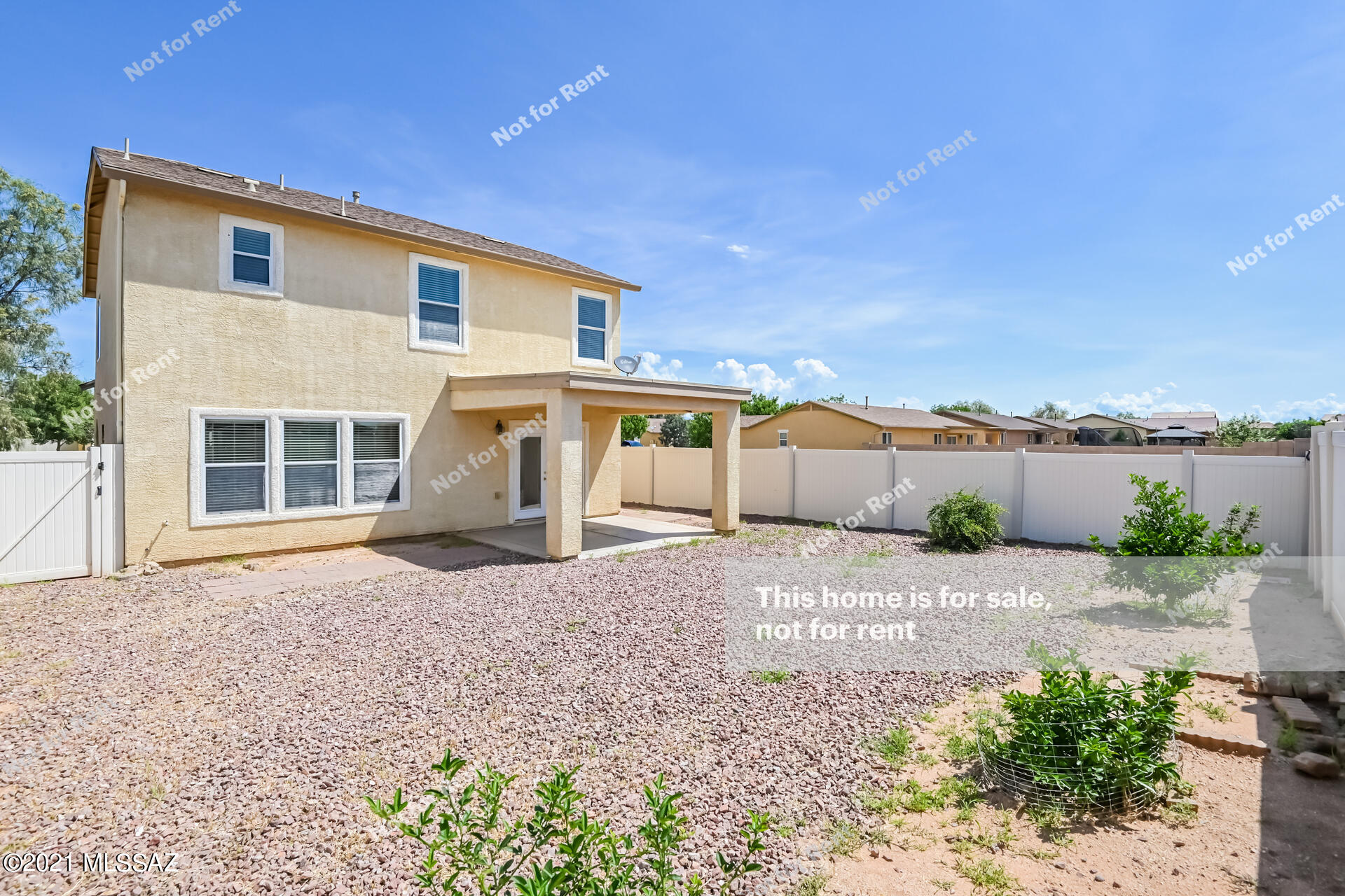 8363 West Razorbill Drive Tucson, AZ 85757 - Photo 5 of 25