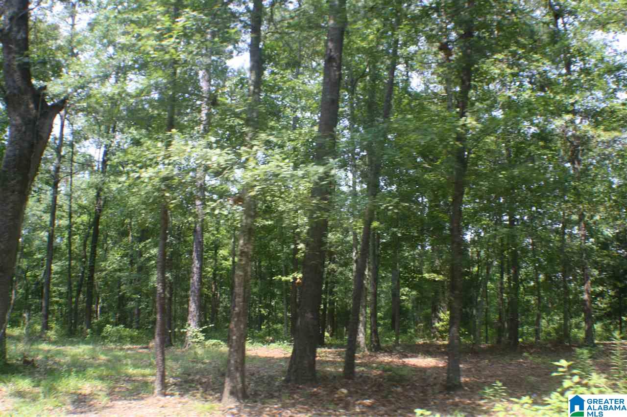 700 Willingham Road Talladega, AL 35160 - Photo 28 of 32 Gallery Image 28